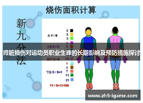 肾脏损伤对运动员职业生涯的长期影响及预防措施探讨